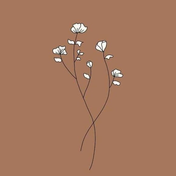 Meet your Posher, Addison - Picture 1 of 1